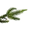 Northlight 7.5' Pre-Lit Roosevelt Fir Artificial Christmas Tree - Clear Lights - 3 of 4