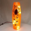 Stony Creek 11.75 In Spider Lit Vase Halloween Insect Web Novelty Sculpture Lights - 2 of 2