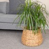 Round Handwoven Water Hyacinth and Seagrass Basket with Handles, Natural - 2 of 4