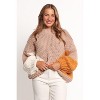 Petal and Pup Koda Pattern Knit Sweater - Beige Multi S/M - 4 of 4