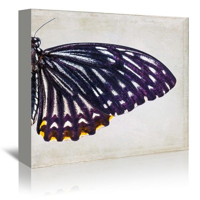 Download Butterfly Wall Decor Target