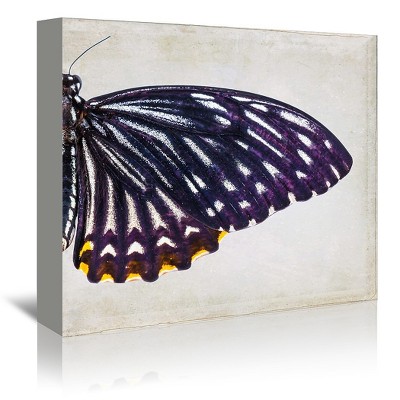 Download Butterfly Wall Decor Target