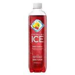 Sparkling Ice Fruit Punch - 17 fl oz Bottle