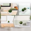 Unique Bargains Fake Succulent Plant for Office Desk Bathroom Kitchen Decor - 4 of 4