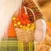 Evergreen Plush Harvest Gnome with Basket Table Decor - 4 of 4