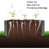 Gulches 48x36x12in Green Galvanized Raised Garden Bed with Anti-Rust Coating - 4 of 4