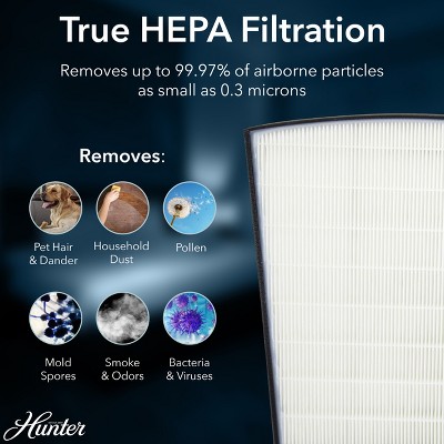 Hunter HP800 Graphite Large Console Air Purifier with HEPA Filter
