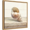 Amanti Art Driftwood Shell I by Danhui Nai Canvas Wall Art Print Framed 16 x 16-in. - image 3 of 4