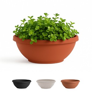 Bloem Terra 12" Diameter Resin Planter Bowl with Optional Knockout Drainage for Indoor and Outdoor Gardening - 1 of 4