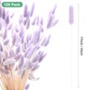 Unique Bargains Artificial Dried Flowers Realistic Look Pampas Bunny Tails Grass 17 Inch - 3 of 4