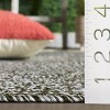 Braided BRA260  Machine Washable UV Resistant Stain Resistant Non-Shedding Hand Woven Indoor/Outdoor Rugs - Safavieh - 4 of 4