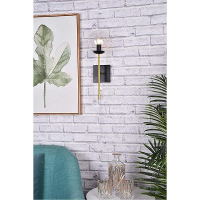 Neri Black and Brass Globe Glass Wall Sconce