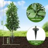 3FT Artificial Bay Laurel Tree with Ground Spikes, Set of 2 Faux Laurus Nobilis, Fake Plants for Garden Patio Porch Yard - 4 of 4