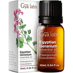 Gya Labs Egyptian Geranium Essential Oil -  0.34 Fl Oz - Aromatherapy - 1 of 4
