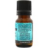 Plantlife Wintergreen Aromatherapy Essential Oil – 100% Pure, Therapeutic Grade, No Additives or Fillers, 10 ml - 2 of 2