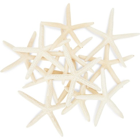 Juvale 12 Pack White Finger Starfish For Nautical Décor, Vase Filler ...