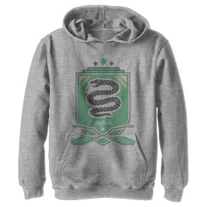 Boy's Harry Potter Quidditch Slytherin Team Crest Pull Over Hoodie - 1 of 4