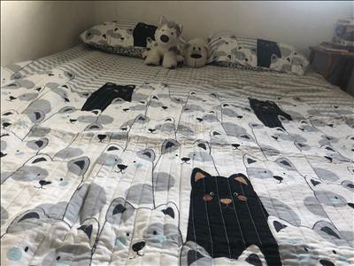 Guest review image 1 of 1, zoom in