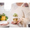 Silver Buffalo The Golden Girls Sophia Face Mini Ceramic Planter With Faux Succulent | 3 Inches - 4 of 4