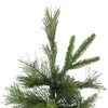 Northlight 4.5' Ashcroft Cashmere Pine Artificial Christmas Tree- Unlit - 4 of 4