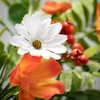 10"H Sullivans Tangerine Cream Floral Orb, Multicolor - 2 of 2