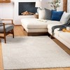 Hauteloom Annalong Modern High Pile Luxe Rug - 2 of 4