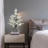 SKRAN 4.5FT Flocked Christmas Tree Small Holiday Christmas Tree With Pot Base 720 Tips, PE+PVC Branches 19 Pine Cones For Tabletop,  Or Home Decor - 3 of 4