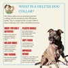 Country Brook Petz Deluxe Dog Collar - Geek Chic Collection - Made in The U.S.A. - 2 of 4