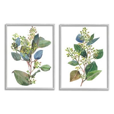 Stupell Industries Soft Eucalyptus Plant Blue Green Ombre Leaves