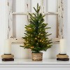 2ft. Artificial Christmas Tree with 35 Clear LED Lights in Decorative Basket – Petite Festive X-Mas Accent for Home Décor - 4 of 4