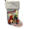 Season's Designs 19" Holiday Gnome in Red Truck Christmas Stocking with LED Lights Battery Operated, Multicolored Indoor Decor, Requires 2 AA - 4 of 4
