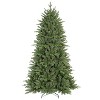 HomeRoots 7' Pre Lit Full Fir Christmas Tree - 4 of 4