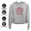 Stanford University Mascot Cropped Hoodie Pullover Sweatshirt - 2 of 4