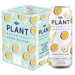 Plant Botanical Passionfruit Pear Vodka Seltzer - 4pk/12 fl oz Cans