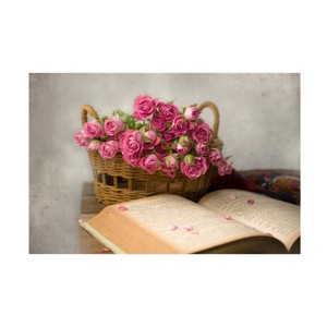 Trademark Fine Art Margareth Perfoncio  My prize Canvas Wall Art - 1 of 4