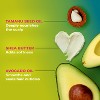 Mielle Organics Avocado & Tamanu Anti-Frizz Conditioner - 12 fl oz - 4 of 4