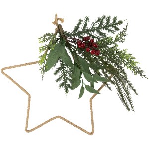 Northlight Mixed Pine Foliage and Berries Star Hanging Christmas Ornament - 11" - 1 of 4