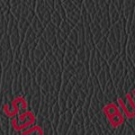 georgia bulldogs uga