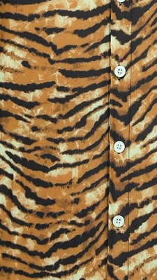 tiger print