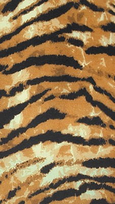 tiger print