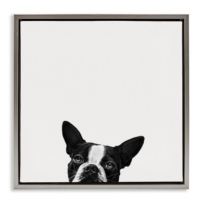 Stupell Industries Dog Peeking From Below, 18" x 18"