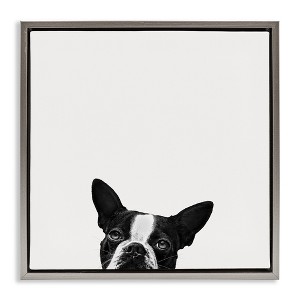 Stupell Industries Dog Peeking From Below, 18" x 18" - 1 of 4