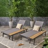 Aluminum 2-Pack Patio Chaise Lounges with Adjustable Mesh Seating, Outdoor Recliner Chair, Rust-Resistant Accent Chair -Christopher Knight Home - 2 of 4