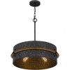 Quoizel Lighting Lariat 3 - Light Pendant in  Old Black - 4 of 4
