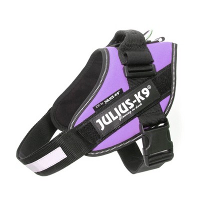 purple julius k9 harness