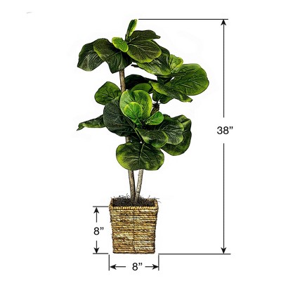 Eternal Green 39" Faux Fig Tree in Dark Wood Basket