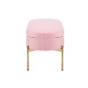 LumiSource 48" Chloe Storage Bench Velvet/Metal Gold/Blush Pink: Elegant Ottoman for Bedroom, Entryway Seating with Metal Frame - 3 of 4