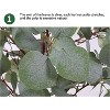 4FT Artificial Eucalyptus Tree, Plastic Potted Faux Plant with Realistic Greenary Leaves for Party Porch Front Door Outdoor Indoor Decor - 2 of 4