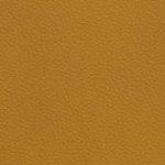 jacksonville jaguars