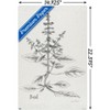 Trends International Jean Plout - Botanical Studies on Paper Basil Unframed Wall Poster Prints - 3 of 4